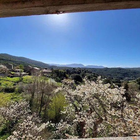 Villa Entre Mer Et Montagne Albitreccia